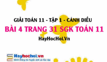 Giải bài 4 trang 31 Toán 11 tập 1 SGK Cánh Diều